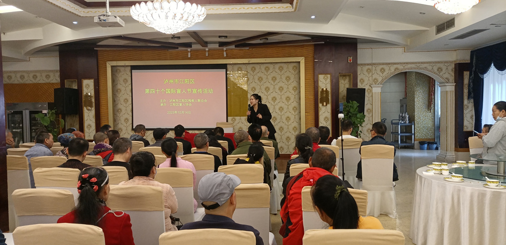 泸州市江阳区盲人协会举行第40个国际盲人节宣传活动